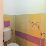 Rozsa Voelgy Apartament *