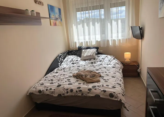 Rozsa Voelgy 埃格尔